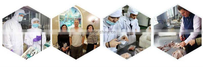 best quality frozen fresh yellow peach at low price