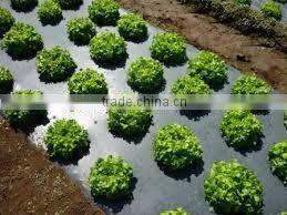 black mulch film for agriculture