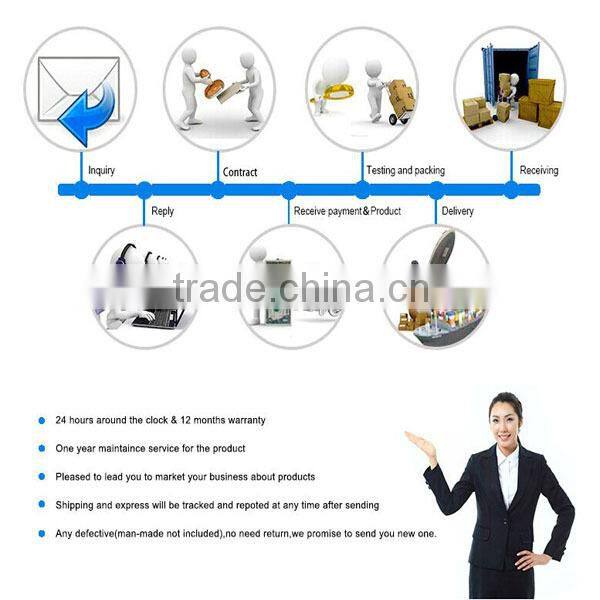 New! 2014 Hot Sale Pretty Fashion Loose Fit Lady Hoody Printed (lyt-0400083)