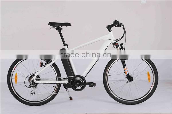 Mountain electric bike
