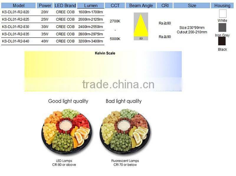 Best price downlight led wholesale opotion ceiling light COB 30w led downlight