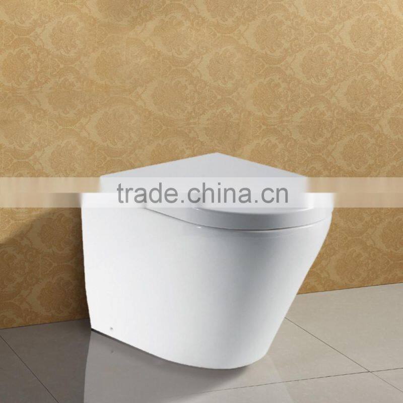 One Piece Ceramic Floor Standing Wash Down Toilet