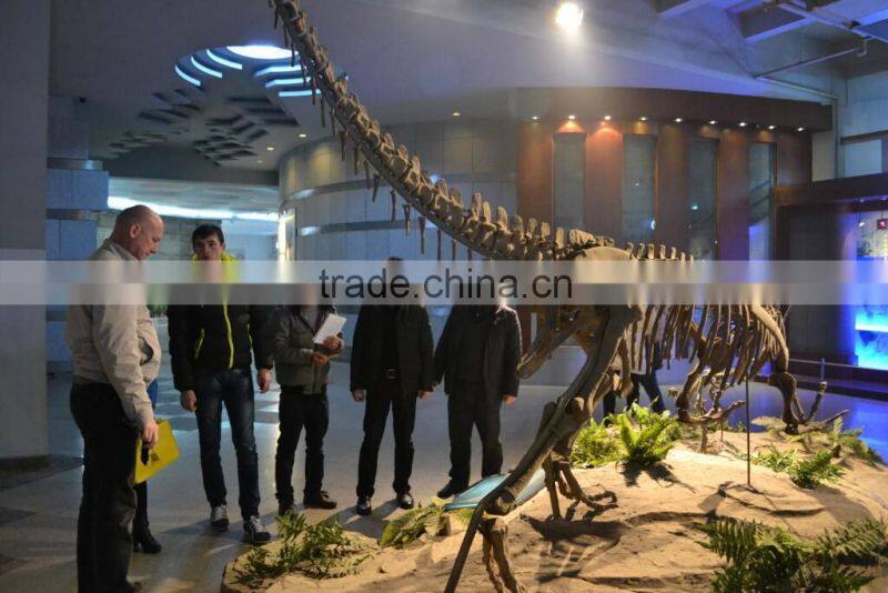 VGD-706 Simulation Animal duck for Museum,theme park, amusement park,mall,activities,events