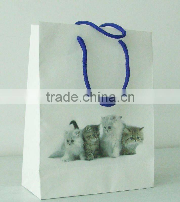 2013 New Luxury Paper Shopping Bag