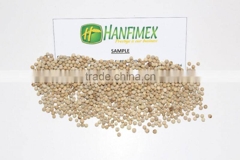Competitive Price White Pepper Seeds 630G/L (Whatsaap/Viber: 0084965152844)