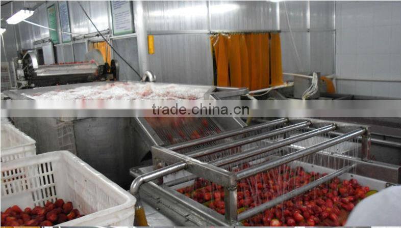 frozen fresh strawberry