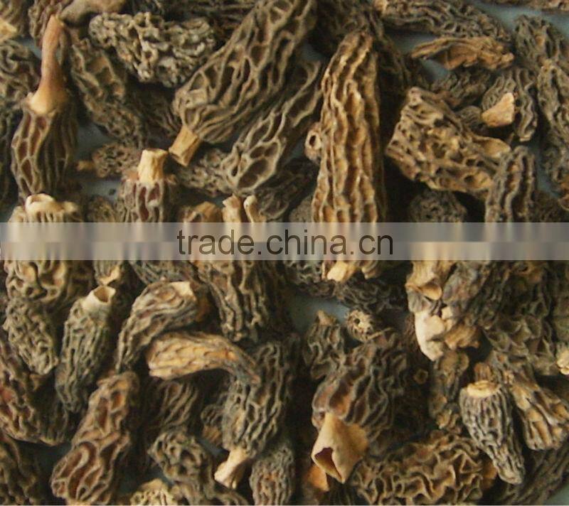 black morel mushroom market price dried morel mushroom magic mushrooms dried