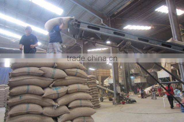 VIETNAM WET POLISHED ROBUSTA COFFEE BEANS S16(+841657106604 - WHATSAPP)