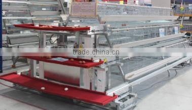 20000 Layer Farm Equipment large scale automatic project