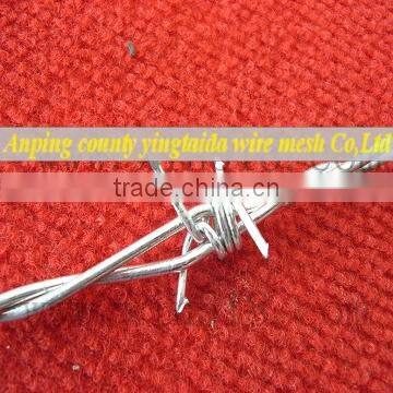 cheap galvanized barbed wire factory supply directly