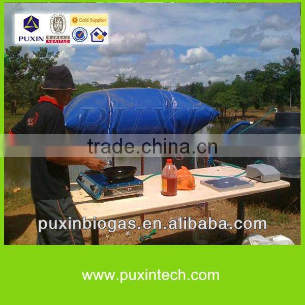 Excellent Biogas stove double burner