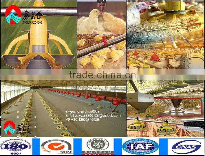High quality Poultry Broiler and layer house
