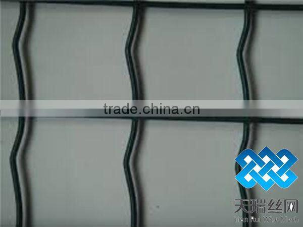 High quality holland wire mesh with low price