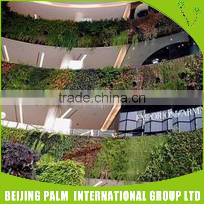 Vertical Grass Wall Hanging Artificial Garden Systems Decorative Artificial Plant