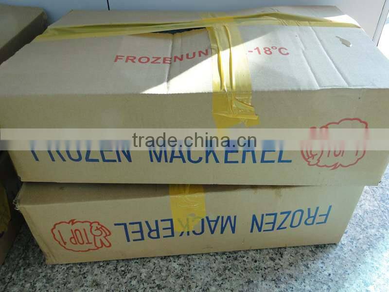 Land Frozen Pacific Mackerel for Canning,Lamp Catching Scomber Japonicus for Canned Fish