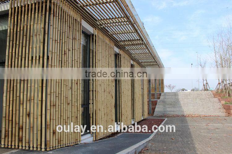 raw tonkin bamboo canes moso bamboo poles used for decoration