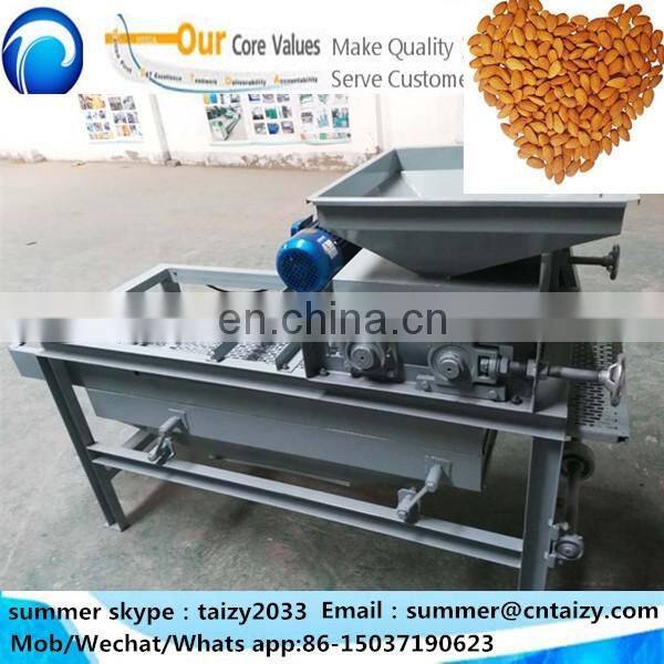 CE approved Hazelnut crack machine