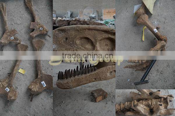 Lisaurus-J dinosaur skulls for exhibitions/amusement parks