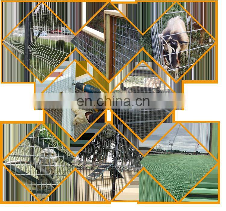 PVC powder coated 10 gauge galvanized welded wire mesh for chicken cage