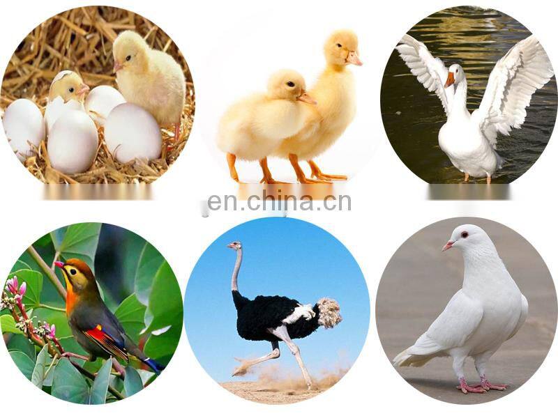 High hatching rate automatic Chicken egg incubator /Egg hatching machine