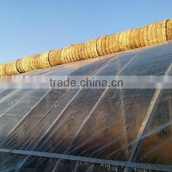 High quality PE greenhouse plastic film uv treated