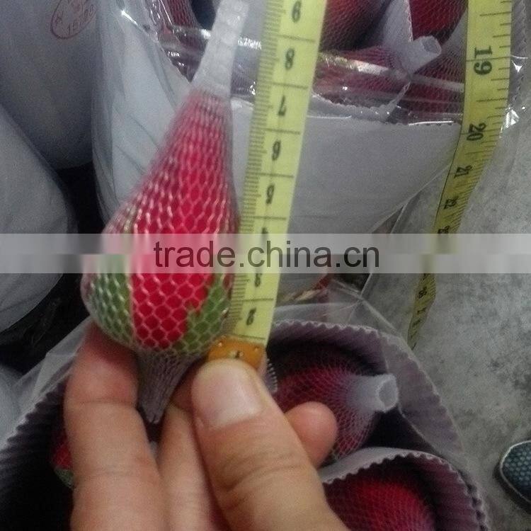 Color Carola table centerpieces single rose