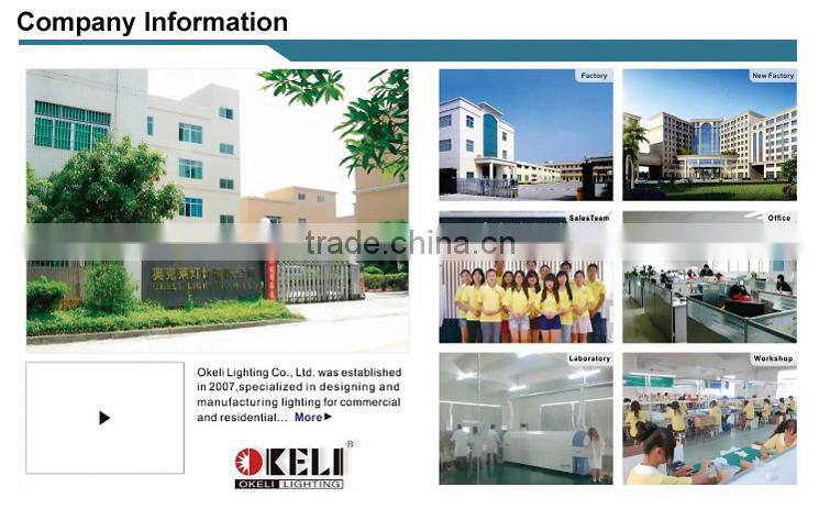 LED MINI Spot light for decorative usd 3W COB