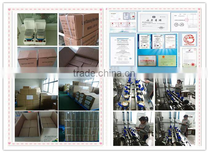 Horizontal woltman type anti clogging irrigation water meter