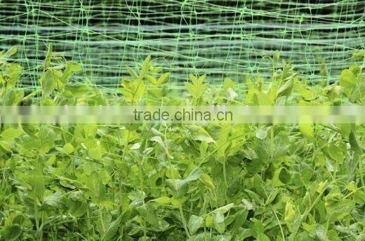 Portable plastic fencing net for chicken&sheep&deer/poultry netting