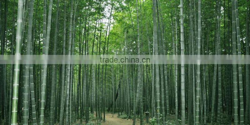 Bamboo Skewers with Red Ball