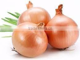 Organic fresh onions