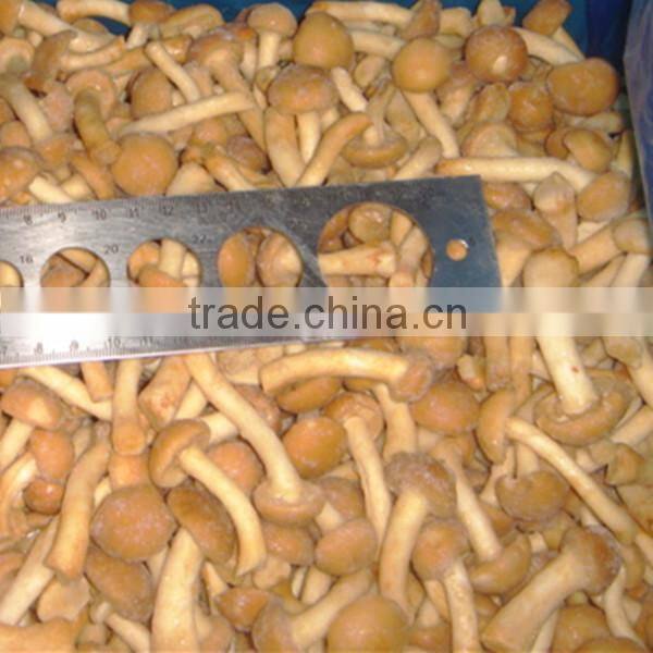 Price For Purchase Mameko Iqf 2015 Corp