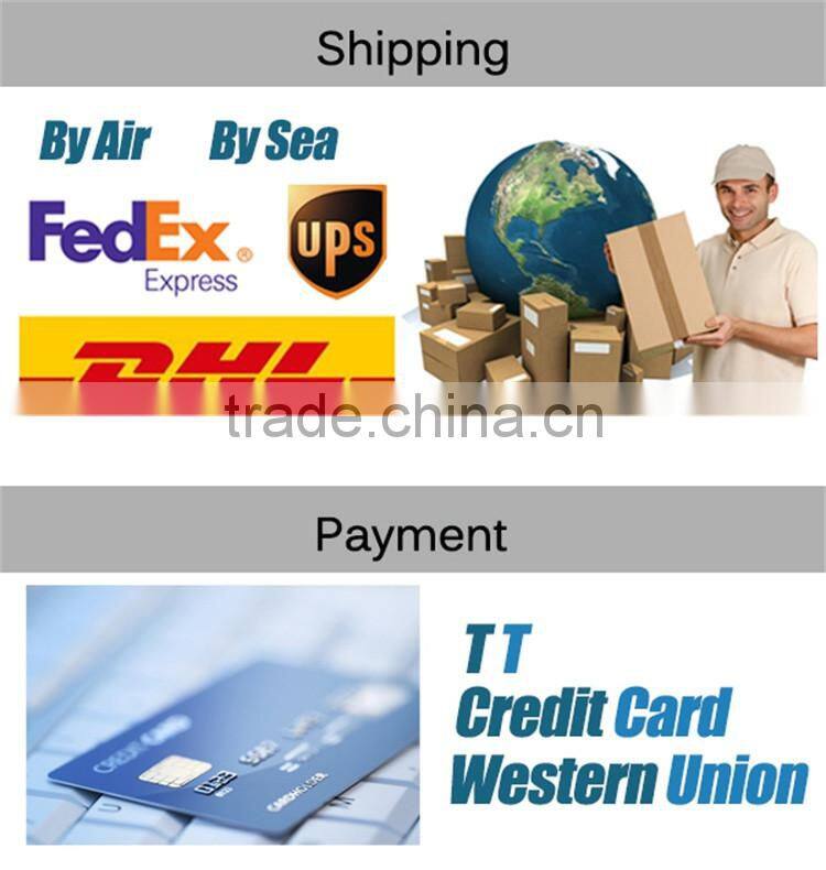 100w portable wind generator 12v 24v