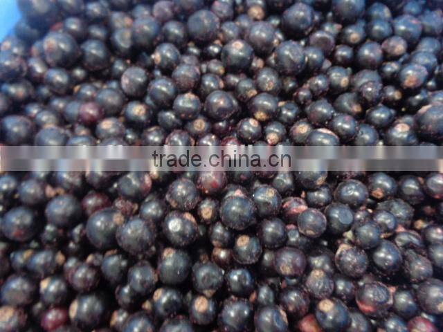 frozen IQF black currant and iqf frozen fruit