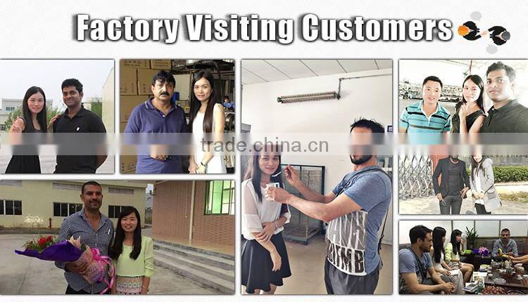 Factory manufacture high gloss auto 2k clear coat