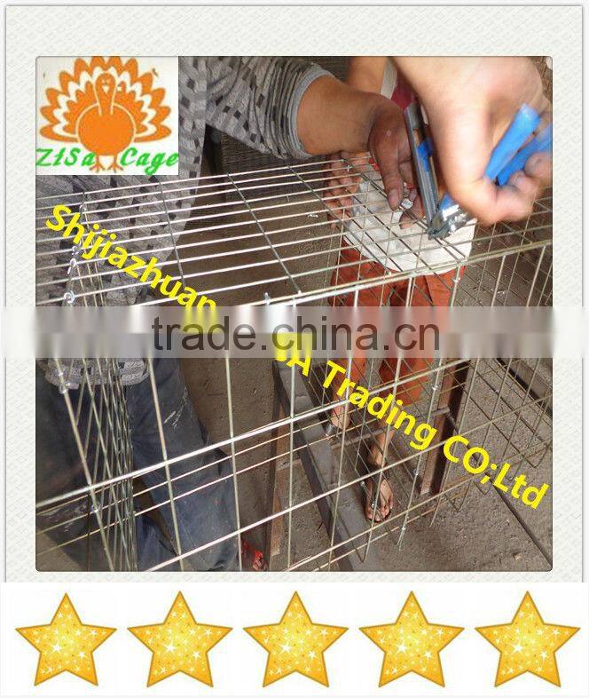 china zisa factory mainly produce Poultry chicken layer cage farm equipments cheap price