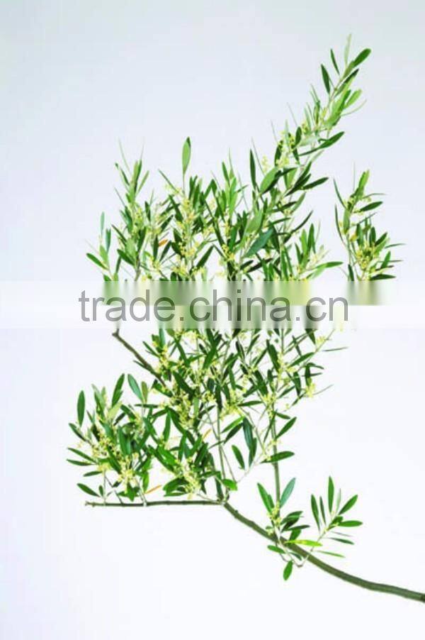 Digital Printing Sheet Glass Manufacture The Float Process