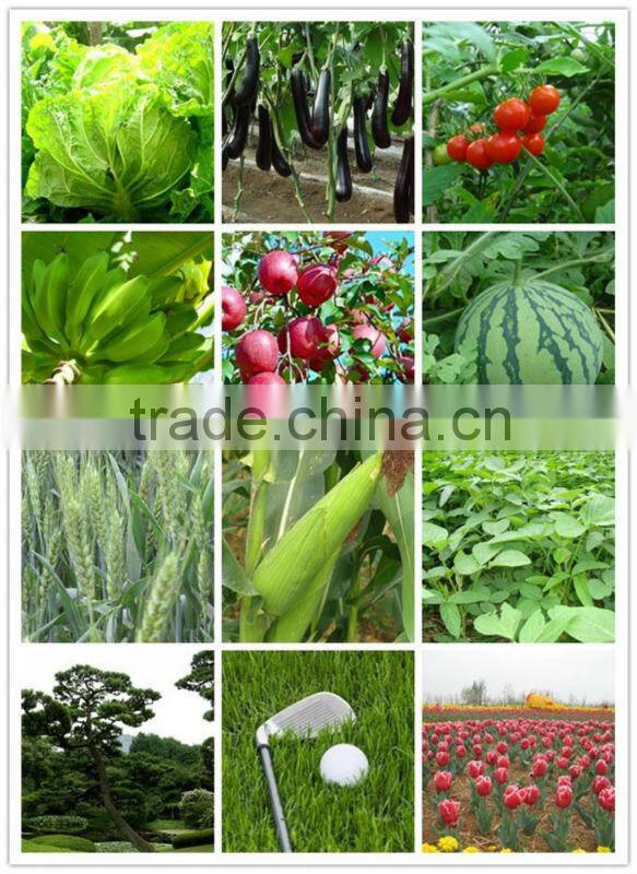 potassium humic organic fertilizer