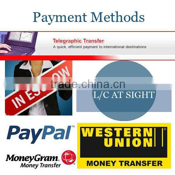 Women high waisted denim Shorts