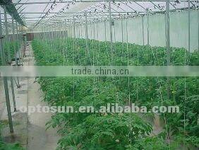 300w led grow light vegetable with 8 pcs fans