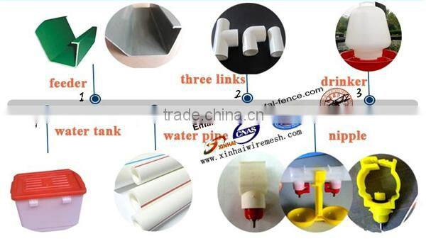 Layer chickens rearing cage A type style for farm