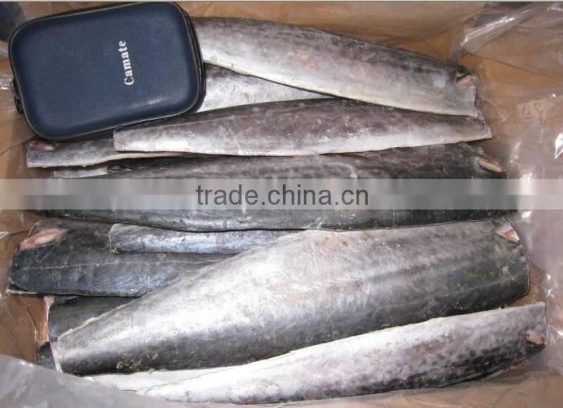 Spanish mackerel Fillet/King Fish meat