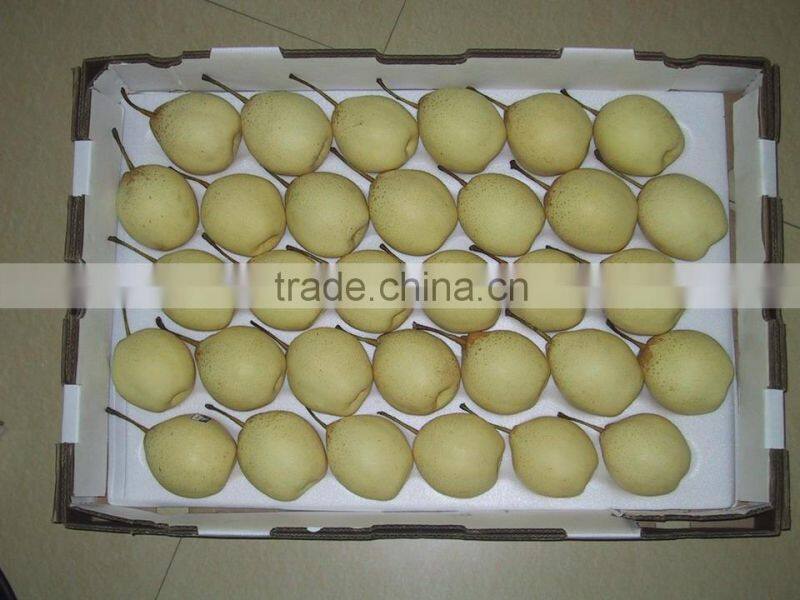 Super Shandong Pear Packed in Carton