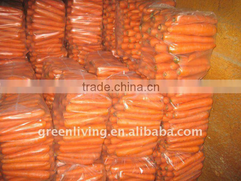we export 2015 new harvest fresh carrot / competitive price