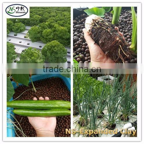 Lightweight Expanded Clay pebbles / Clay balls / LECA people choice