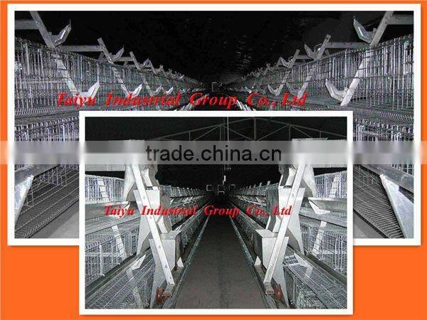 TAIYU chicken farm system (Professional Manufacturer, Design&Equipment, Nigerian /Lagos office,For birds in sales)