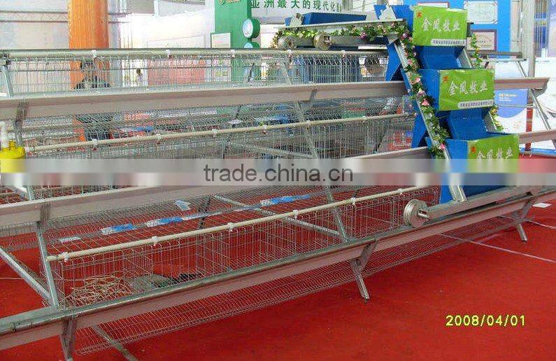 Automatic Chicken Feeding System