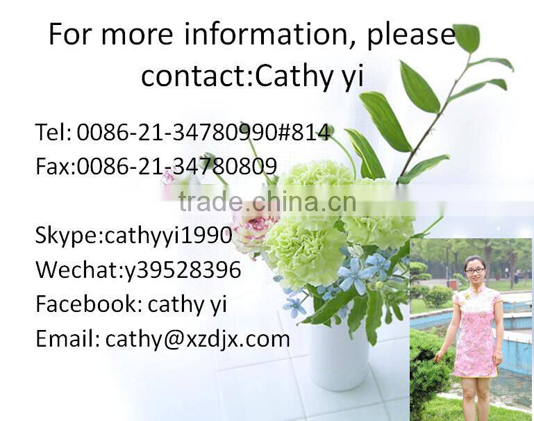 Food Vacuum Freeze drying Lyophilizer Machine