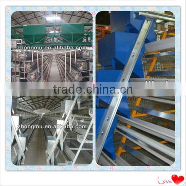 Hot galvanized metal chicken poultry shed farm equipment for chicken cage