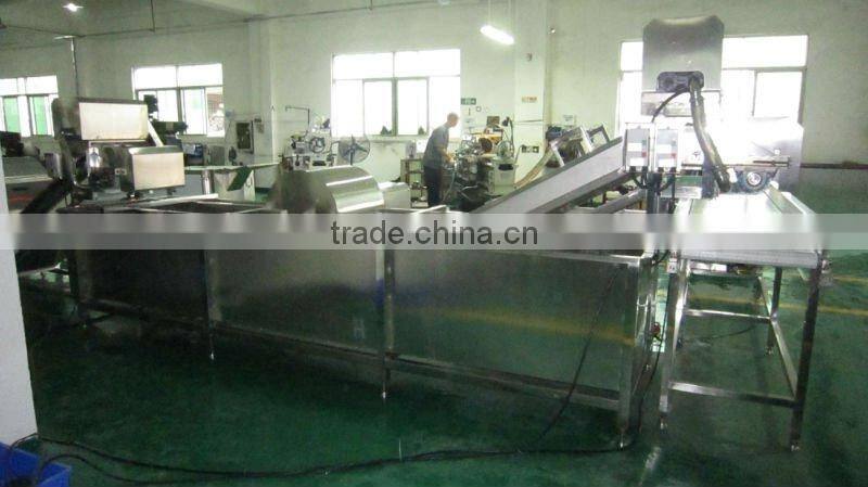 Washing cutting vegetable production line (video)
